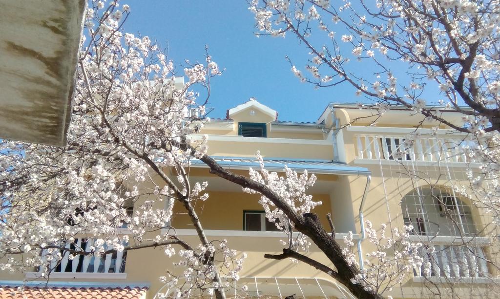 וודיצה Apartments Meri מראה חיצוני תמונה