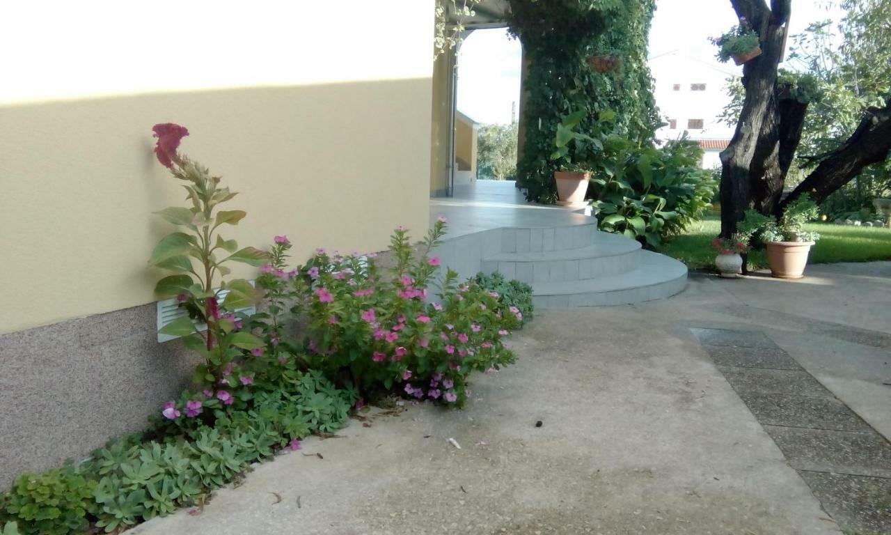 וודיצה Apartments Meri מראה חיצוני תמונה